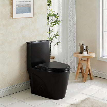 One-Piece Toilet T01, Dual Flush 1.1/1.6 GPF Matte Black