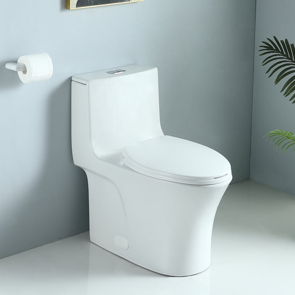 Ceramic One-Piece Toilet, Dual-Flush 1.1/1.6 GPF, Comfort Height Elongated Bowl, Soft-Close Seat, Gloss White