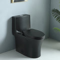 One-Piece Ceramic Toilet, Dual-Flush 1.1/1.6 GPF, Adjustable 0.8/1.28, Elongated Comfort Height, Soft-Close, Matte Black