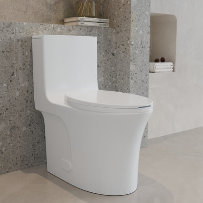 One-Piece Toilet T02, Dual Flush 1.1/1.6 GPF Glossy White