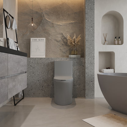 One-Piece Toilet T02, Dual Flush 1.1/1.6 GPF Light Grey