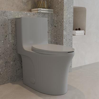 One-Piece Toilet T02, Dual Flush 1.1/1.6 GPF Light Grey