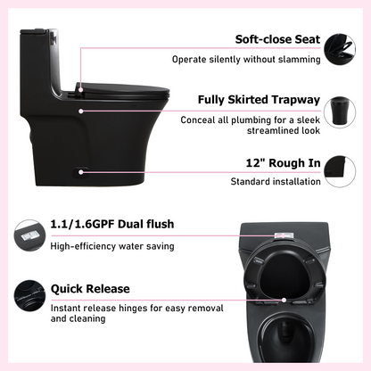 One-Piece Toilet T02, Dual Flush 1.1/1.6 GPF Matte Black
