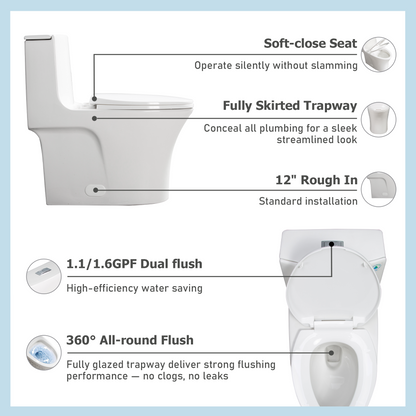 One-Piece Toilet T02, Dual Flush 1.1/1.6 GPF Glossy White