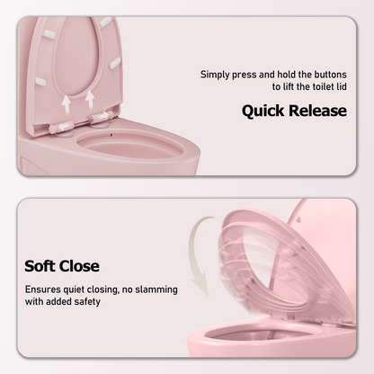 One-Piece Toilet T01, Dual Flush 1.1/1.6 GPF Matte Rose