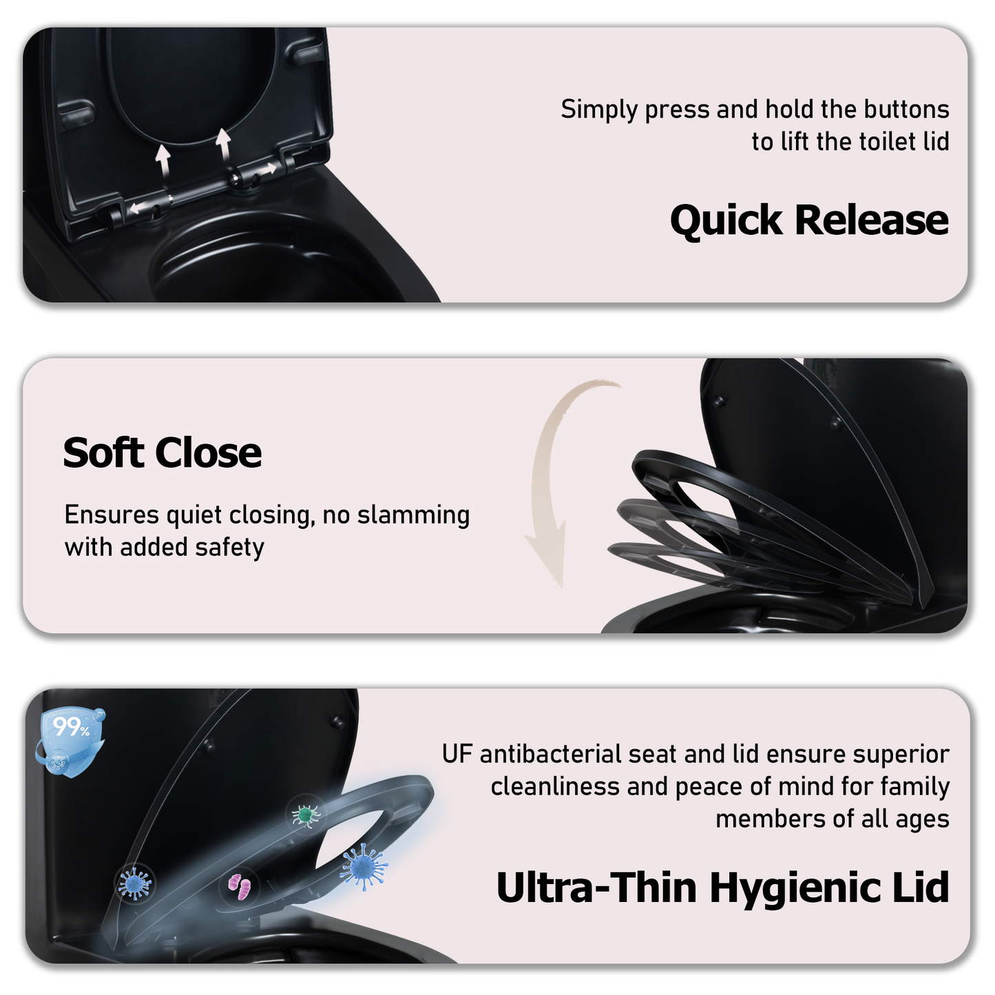 One-Piece Toilet T01, Dual Flush 1.1/1.6 GPF Matte Black