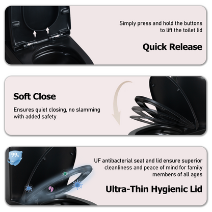 One-Piece Toilet T01, Dual Flush 1.1/1.6 GPF Matte Black
