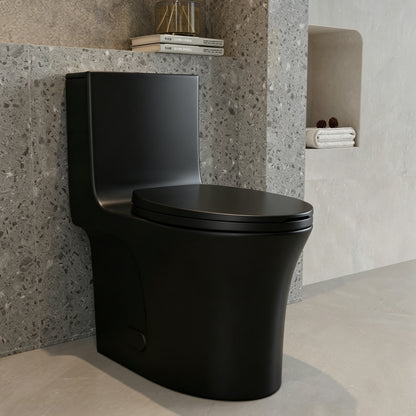 One-Piece Toilet T02, Dual Flush 1.1/1.6 GPF Matte Black