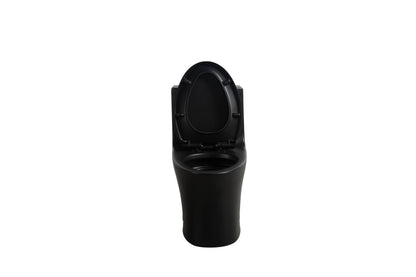One-Piece Toilet T02, Dual Flush 1.1/1.6 GPF Matte Black