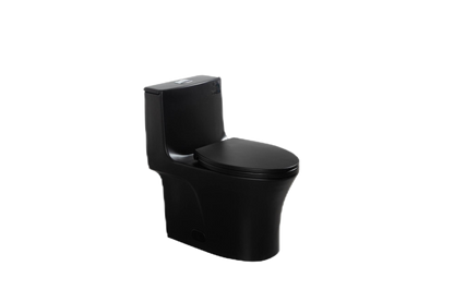 One-Piece Toilet T02, Dual Flush 1.1/1.6 GPF Matte Black