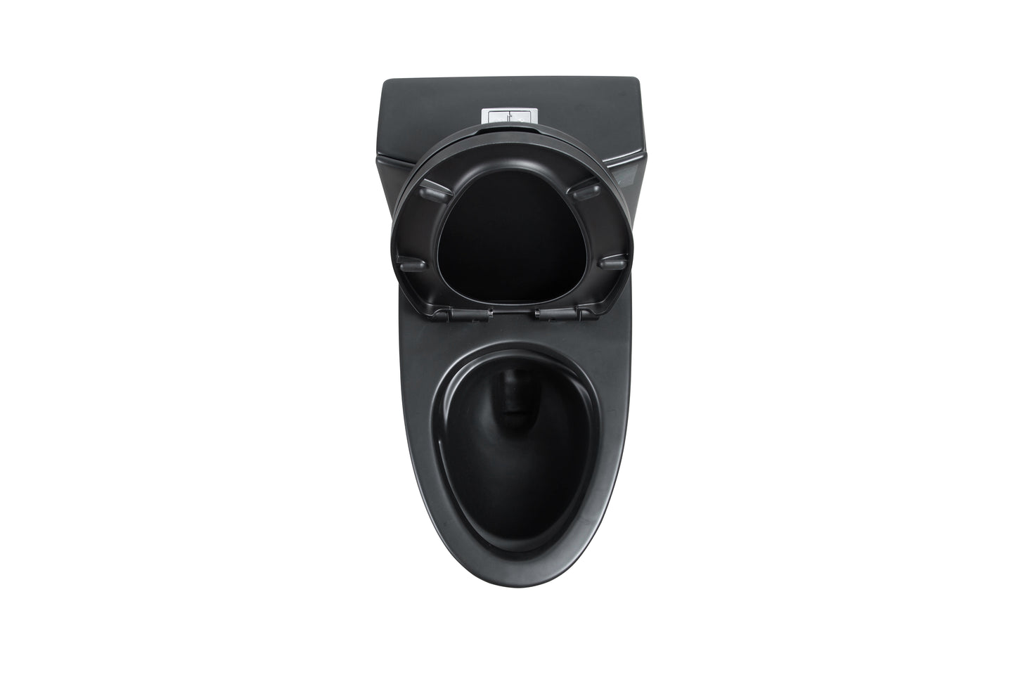 One-Piece Toilet T02, Dual Flush 1.1/1.6 GPF Matte Black