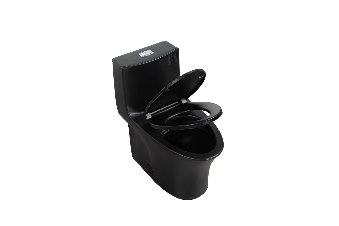 One-Piece Toilet T02, Dual Flush 1.1/1.6 GPF Matte Black