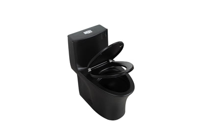 One-Piece Toilet T02, Dual Flush 1.1/1.6 GPF Matte Black