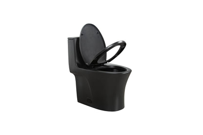 One-Piece Toilet T02, Dual Flush 1.1/1.6 GPF Matte Black