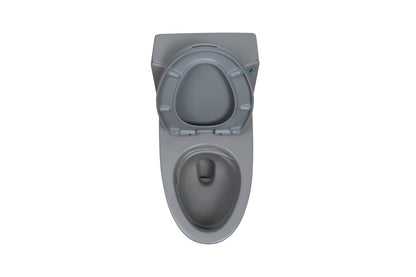 One-Piece Toilet T02, Dual Flush 1.1/1.6 GPF Light Grey