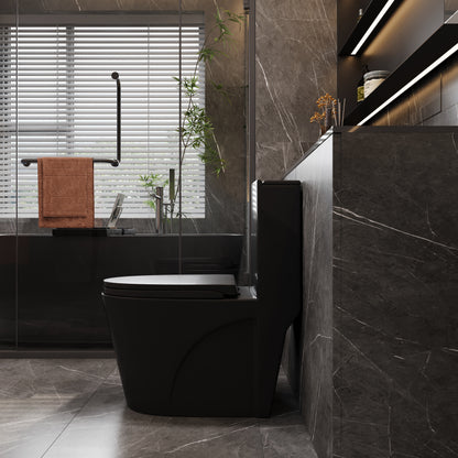 One-Piece Toilet T01, Dual Flush 1.1/1.6 GPF Matte Black
