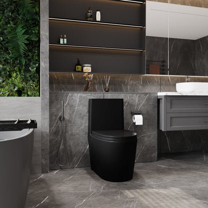 One-Piece Toilet T01, Dual Flush 1.1/1.6 GPF Matte Black