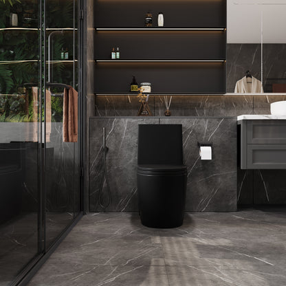 One-Piece Toilet T01, Dual Flush 1.1/1.6 GPF Matte Black