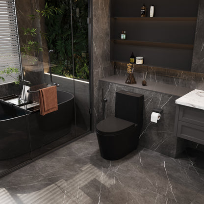 One-Piece Toilet T01, Dual Flush 1.1/1.6 GPF Matte Black