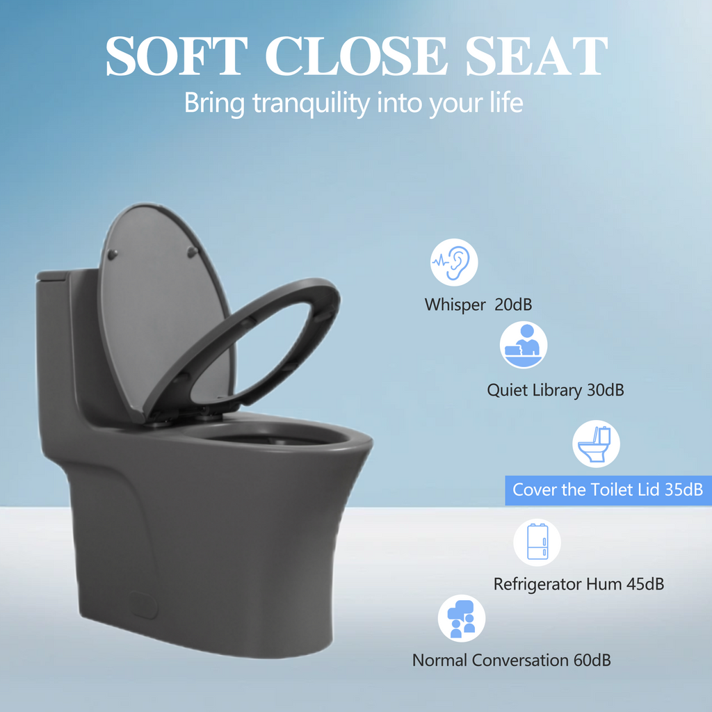 Ceramic One-Piece Toilet, Dual-Flush 1.1/1.6 GPF, Comfort Height Elongated Bowl, Soft-Close Seat, Light Grey