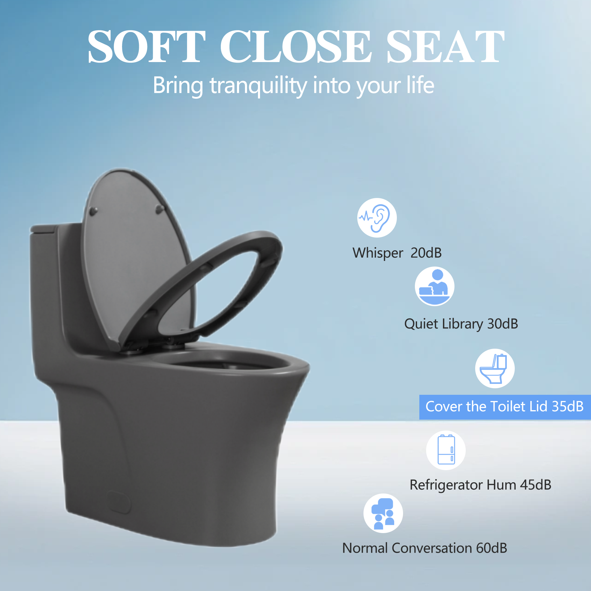 Ceramic One-Piece Toilet, Dual-Flush 1.1/1.6 GPF, Comfort Height Elongated Bowl, Soft-Close Seat, Light Grey