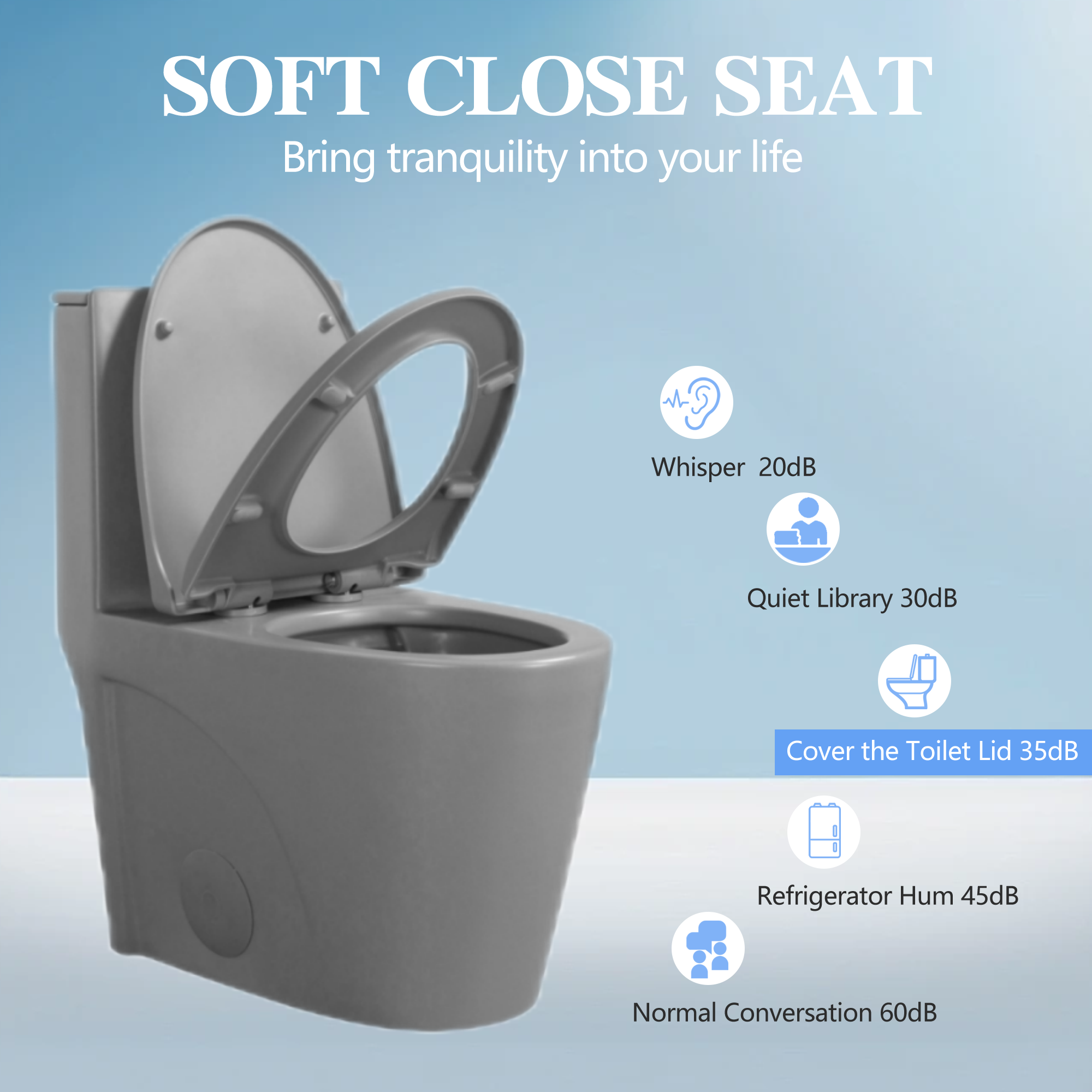 Dual-Flush Ceramic One-Piece Toilet 1.1/1.6 GPF, Elongated Comfort Height Bowl, Soft-Close Seat, Adjustable 0.8/1.28 GPF, Light Grey
