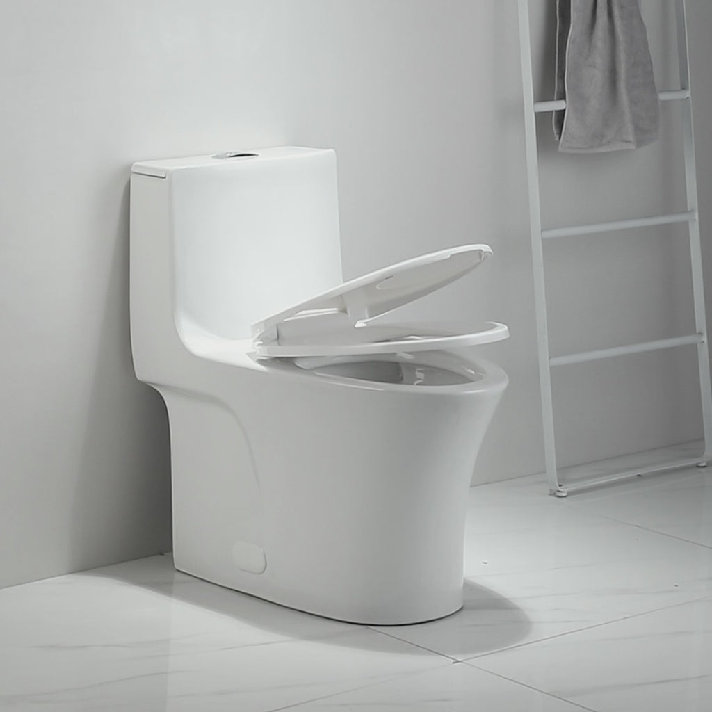 Ceramic One-Piece Toilet, Dual-Flush 1.1/1.6 GPF, Comfort Height Elongated Bowl, Soft-Close Seat, Gloss White