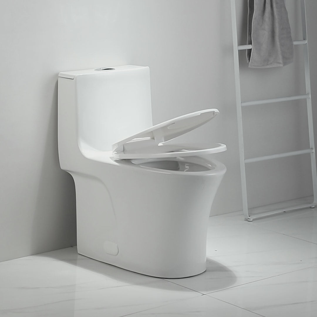 Ceramic One-Piece Toilet, Dual-Flush 1.1/1.6 GPF, Comfort Height Elongated Bowl, Soft-Close Seat, Gloss White